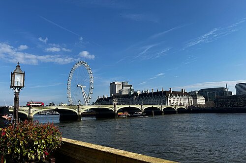 View from Parliament across the Thames